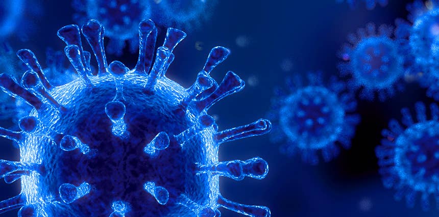 News & Announcements