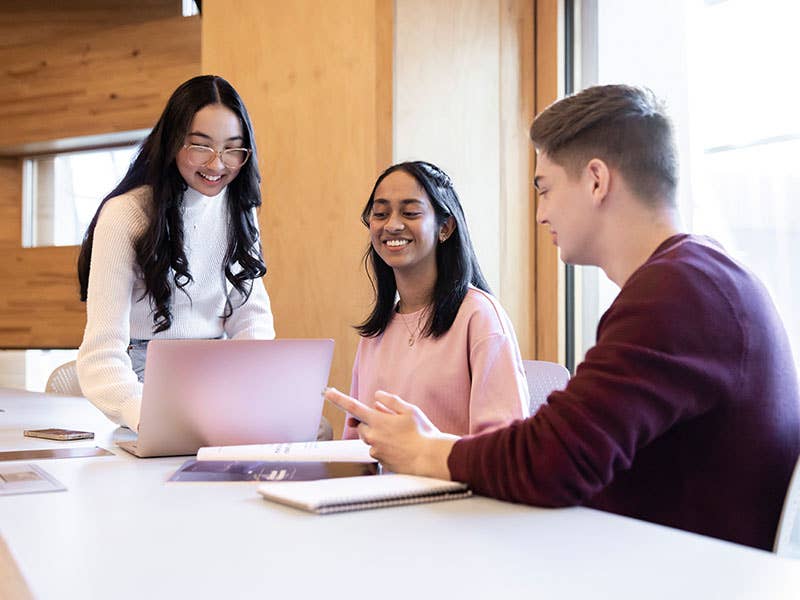 Web Survey - Thank you