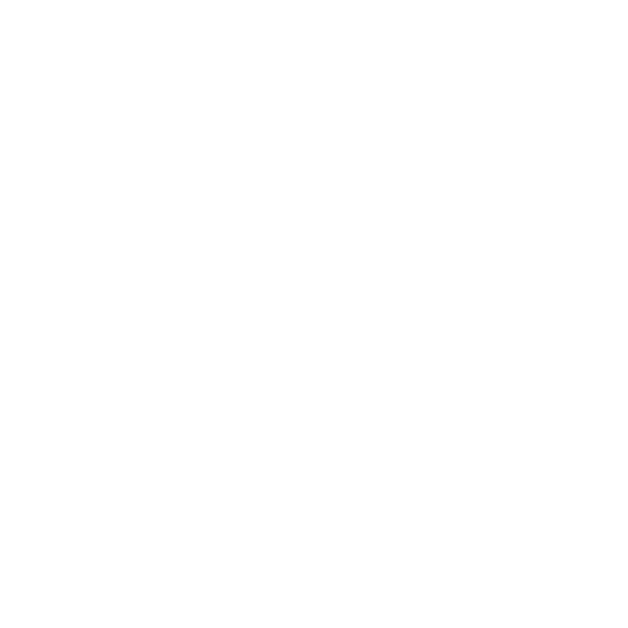 Optional: 15-minute one-on-one consultation with a student advisor
