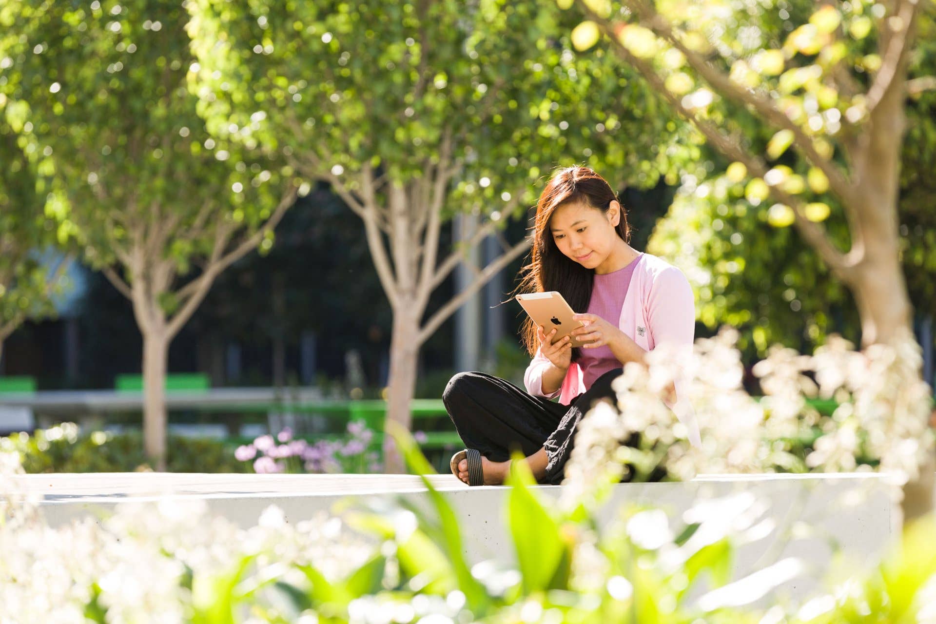 The Cambridge International AS and A Levels program is led by some of the most experienced and passionate educators in the field.