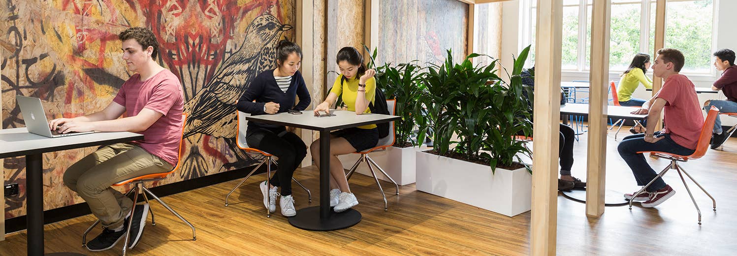 UTS College learning experience