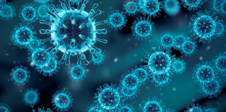 News & Announcements