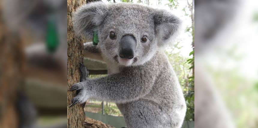 News & Announcements