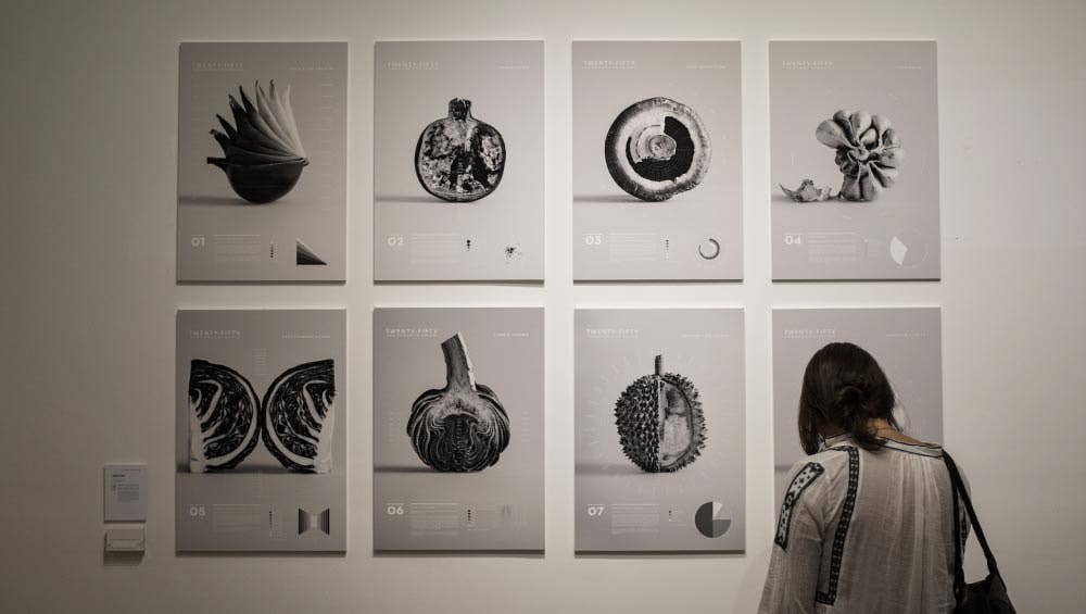 Diploma of Design & Architecture (Design stream)