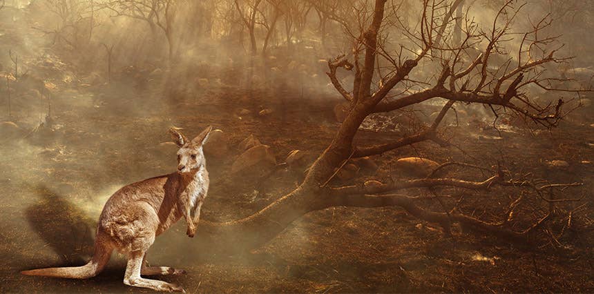 News & Announcements