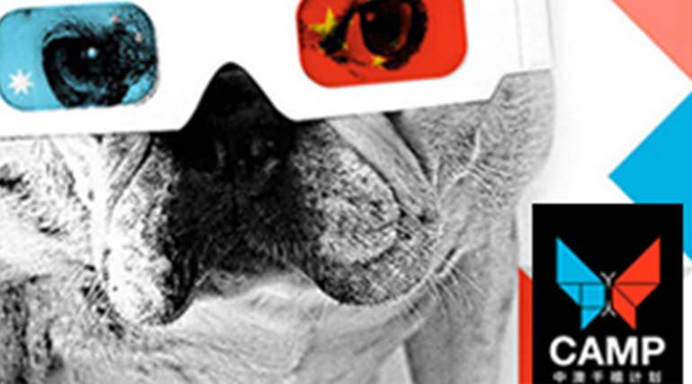 A bulldog wearing 3d glasses