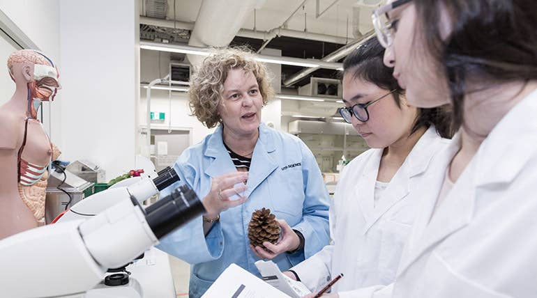 Industry guest speakers