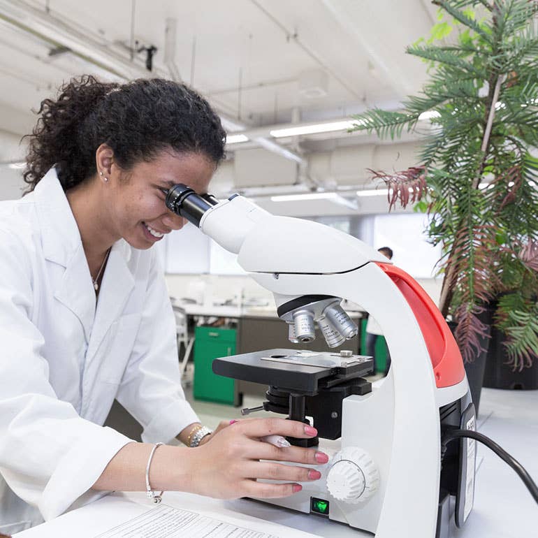 Science and Mathematics