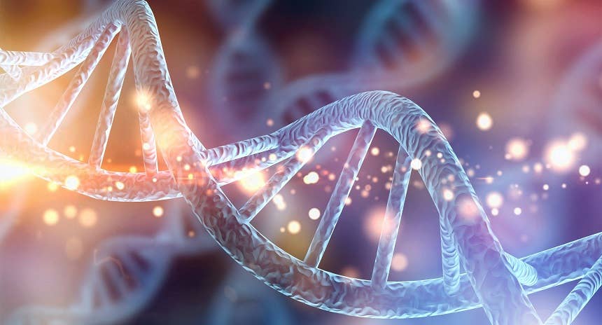 Fast track to 2nd year UTS Science