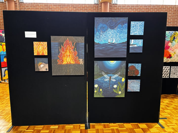 My Yr12 Art Showcase - My major work for visual arts displayed