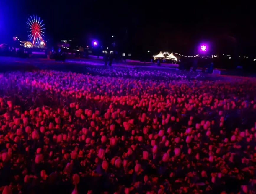 camberra-concert
