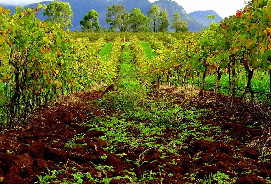 hunter-valley