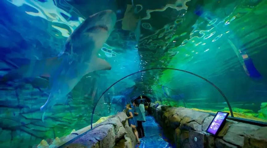 sea-life-sydney-aquarium