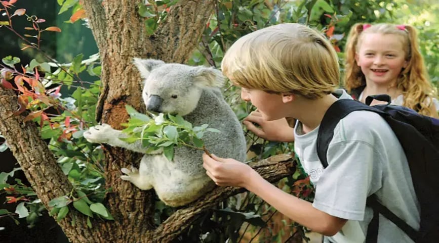 wildlife-sydney