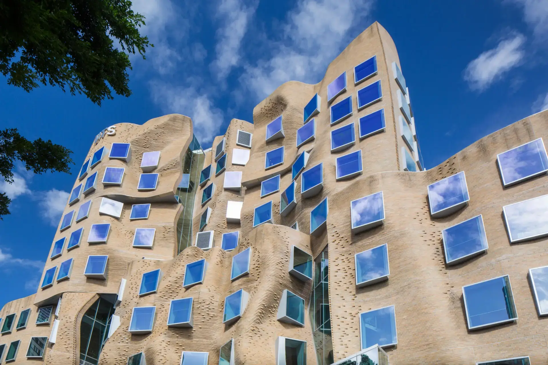 UTS climbs the QS global rankings, affirming its reputation as one of the world’s leading universities.