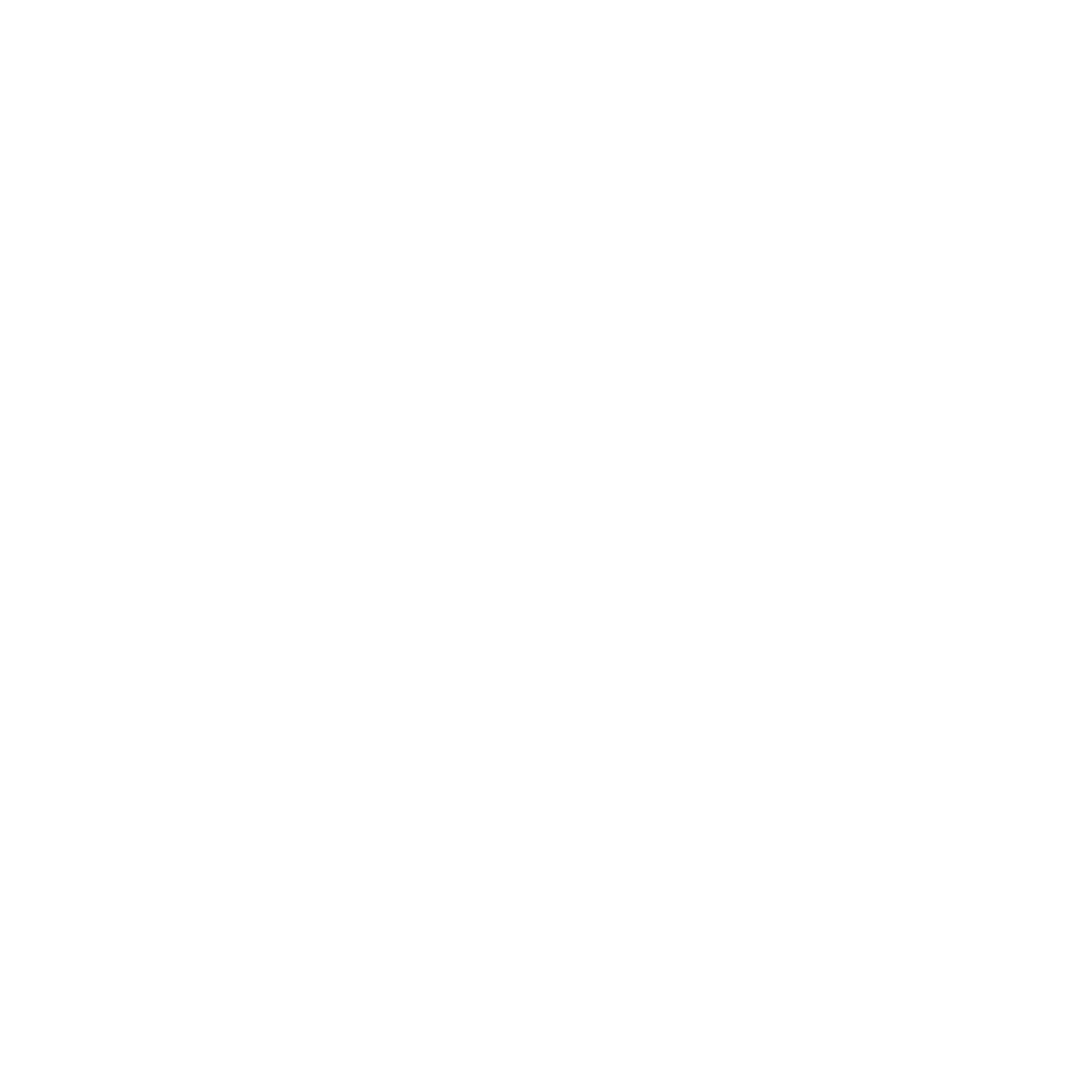 1410714361_2024_ITDS_BYOD_Icons_0624_White_Animation