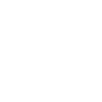 Academic English